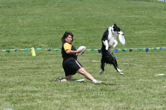 Enlarge photo 55