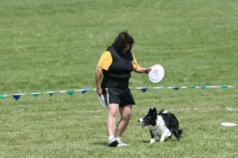 Enlarge photo 59