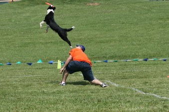 Enlarge photo 74