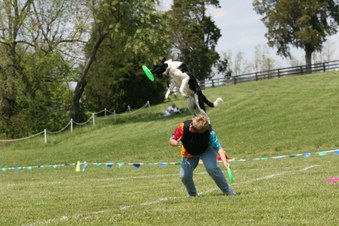 Enlarge photo 79