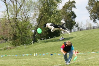 Enlarge photo 80
