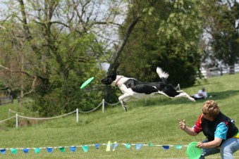 Enlarge photo 84