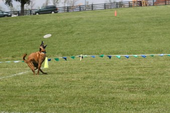 Enlarge photo 97
