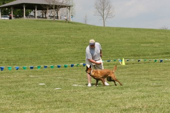 Enlarge photo 107