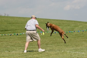 Enlarge photo 110
