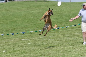 Enlarge photo 114