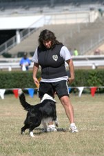 BarktoberFest 2007 Ohio Cup