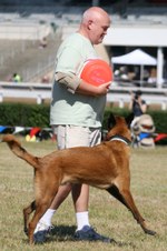 Enlarge photo 6