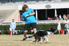 Enlarge photo 42