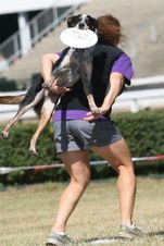 Enlarge photo 68