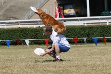 Enlarge photo 74