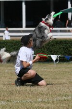 Enlarge photo 92