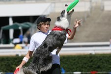 Enlarge photo 96