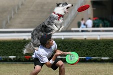 Enlarge photo 97