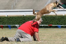 Enlarge photo 108