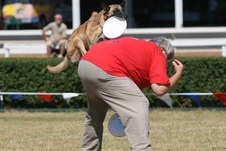 Enlarge photo 111