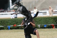 Enlarge photo 118