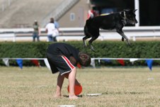 Enlarge photo 120