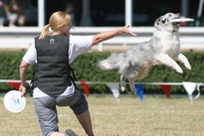 Enlarge photo 128