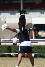 Enlarge photo 131