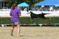 Enlarge photo 141