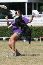 Enlarge photo 142
