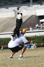 Enlarge photo 149