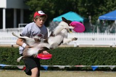 Enlarge photo 152