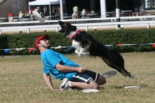 Enlarge photo 154