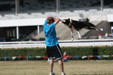 Enlarge photo 159