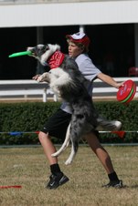 Enlarge photo 169