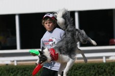Enlarge photo 171