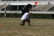 Enlarge photo 184