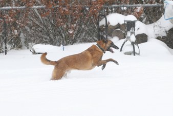 Enlarge photo 3
