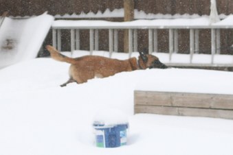 Enlarge photo 5