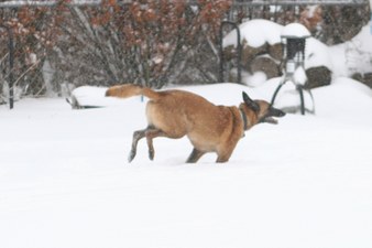 Enlarge photo 10