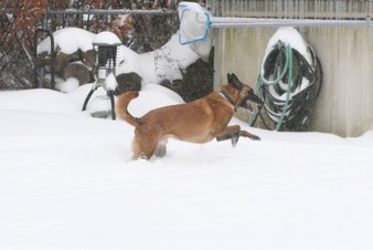 Enlarge photo 11