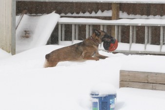 Enlarge photo 13