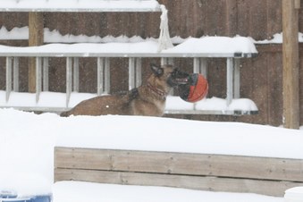 Enlarge photo 23