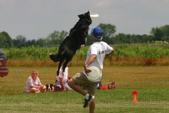 Enlarge photo 13