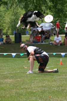 The Best of 2004 Disc Dog