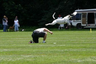 Enlarge photo 42