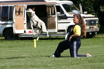 Enlarge photo 50