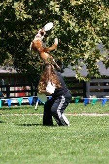 Enlarge photo 53