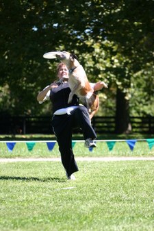 Enlarge photo 55