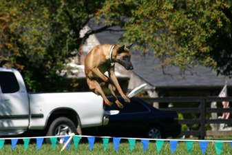 Enlarge photo 75