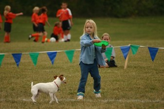 Enlarge photo 84