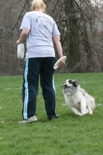 Enlarge photo 13
