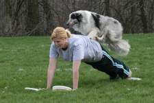 Enlarge photo 14