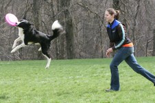 Enlarge photo 26